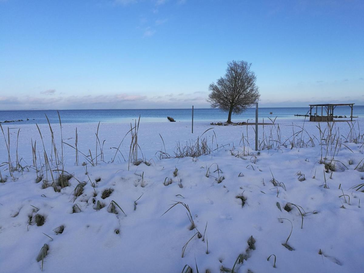 Fewo "Hafenblick" Ueckermunde Luaran gambar
