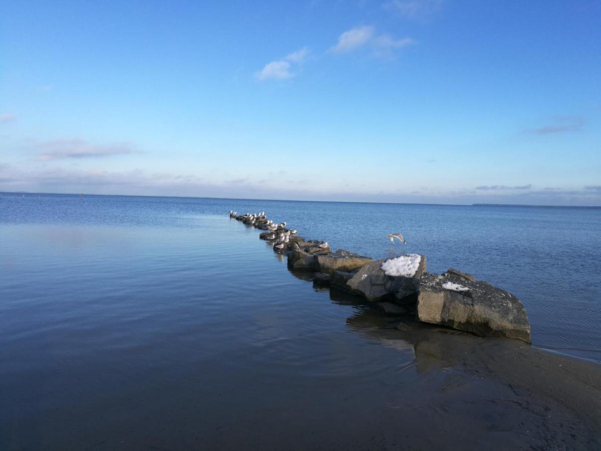 Fewo "Hafenblick" Ueckermunde Luaran gambar